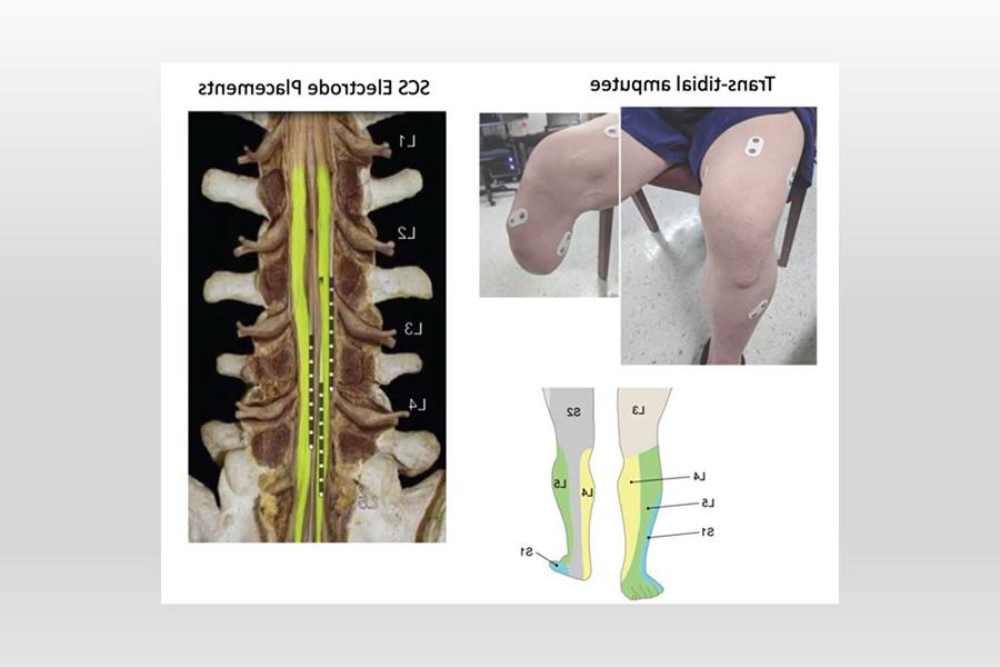 dwebber_research_image