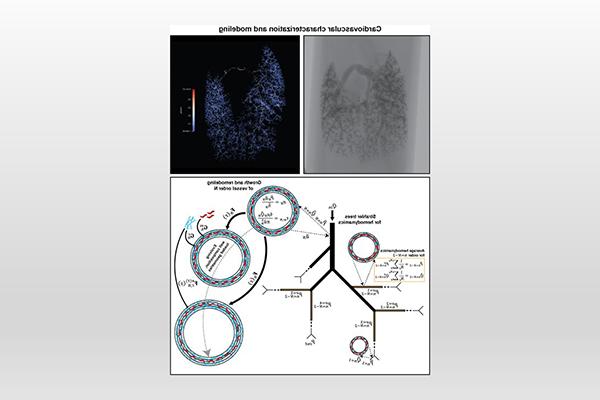 Jason Szafron research image